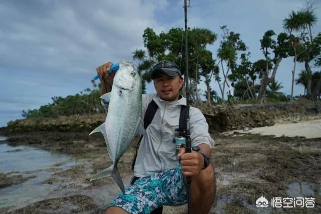 除了《游钓中国》，你还喜欢什么钓鱼类视频？