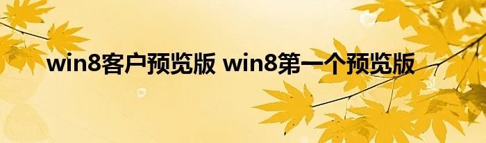 win8客户预览版 win8第一个预览版