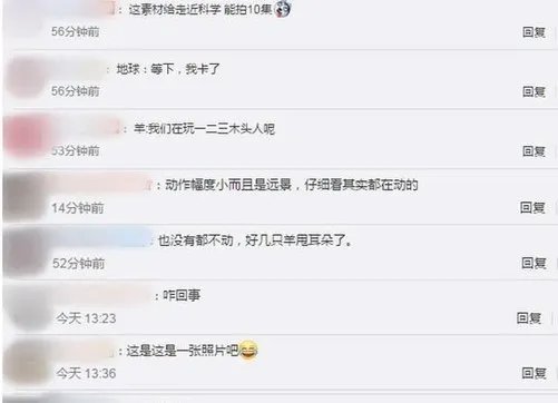 羊群站在山坡一动不动如画面静止 网友:走进科学能能拍十集