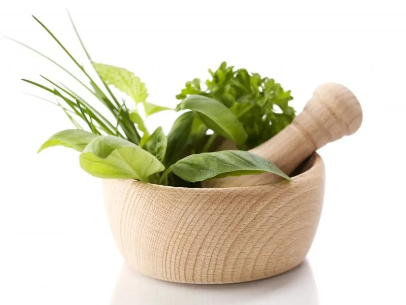 蜀葵的功效与作用