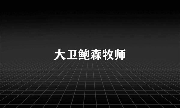 大卫鲍森牧师
