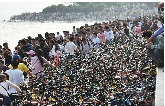 深圳为何暂扣共享单车？