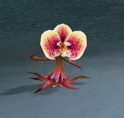 魔兽世界宠物系列之埃门谷花苗获取指南