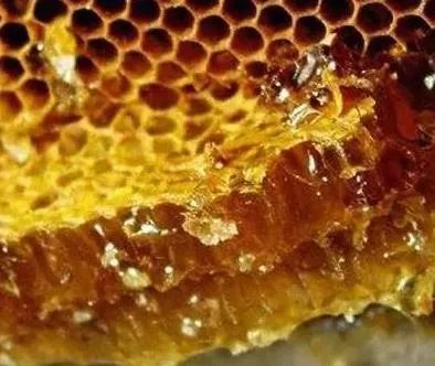 血液垃圾的天敌!中年以后一定要记得吃!（图文介绍）