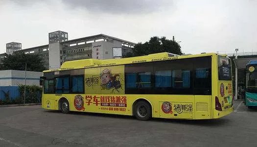 驾校3万学员被坑近2亿元,这是哪个驾校?