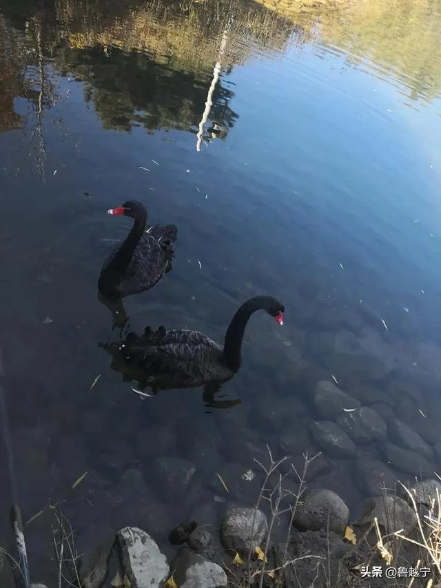 4.68亿个人信息泄露，你怎么看？如何保护个人信息？