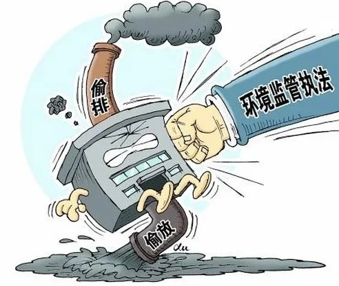 为什么环保志愿者被打伤？