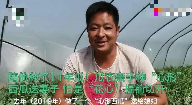 瓜农种心形西瓜520赠爱妻 曾在去年种出花心西瓜