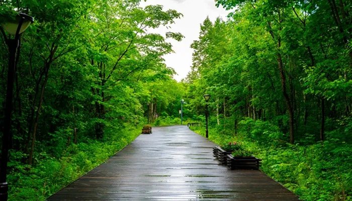 四月的英文缩写是什么，四月的英语缩写