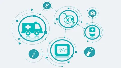 油桃的功效与作用