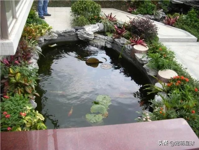 摸鱼池水深多少合适？