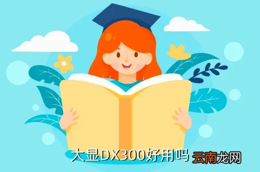 dx300，大显DX300好用吗