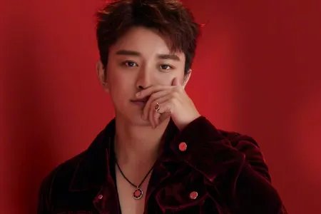 贾乃亮称今后应尽量远离投资，此次的偷税事件对他的事业造成了怎样的影响？