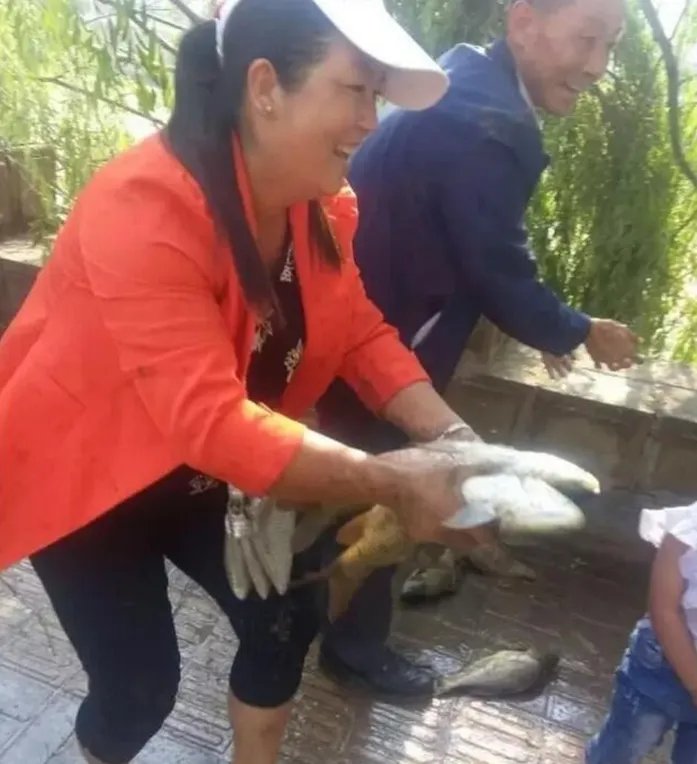 车侧翻鱼儿遭哄抢是怎么回事？