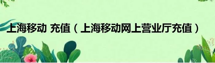 上海移动 充值（上海移动网上营业厅充值）