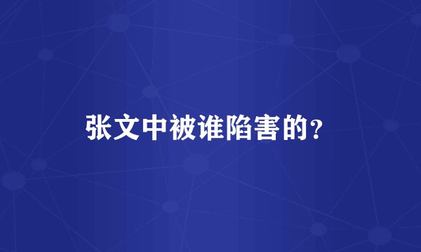 张文中被谁陷害的？
