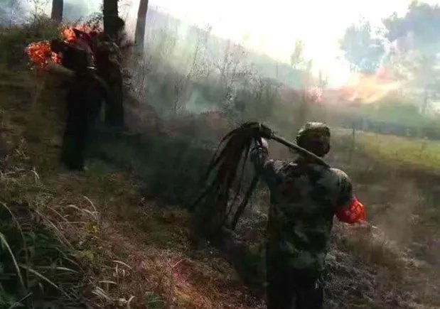 湖南宜章森林火灾是怎么回事？