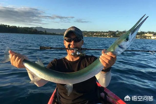 除了《游钓中国》，你还喜欢什么钓鱼类视频？