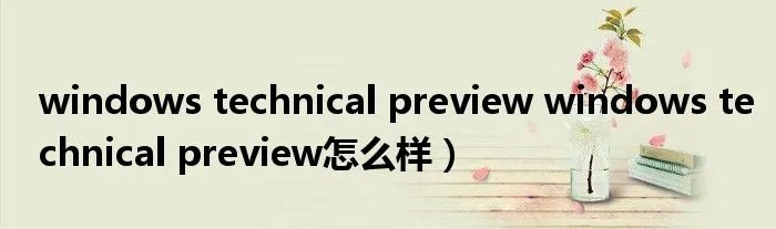 windows technical preview windows technical preview怎么样）