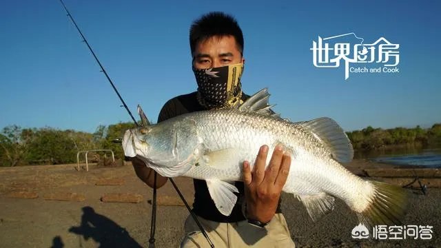 除了《游钓中国》，你还喜欢什么钓鱼类视频？