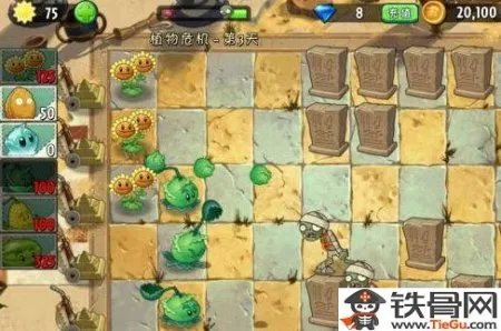 植物危机第三天攻略详解