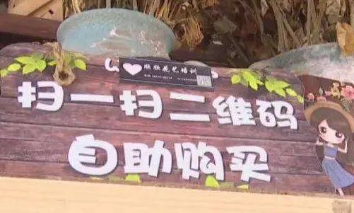 24小时自助花店两年没丢一盆花，如何看待这件事情？