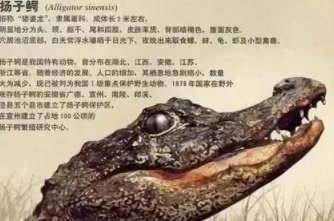 湖北的简称是什么?湖北的简称是怎么来的?