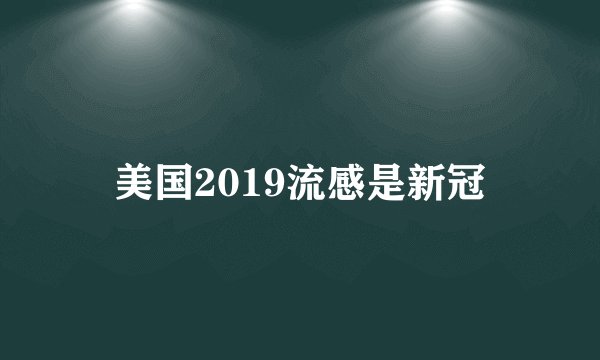 美国2019流感是新冠