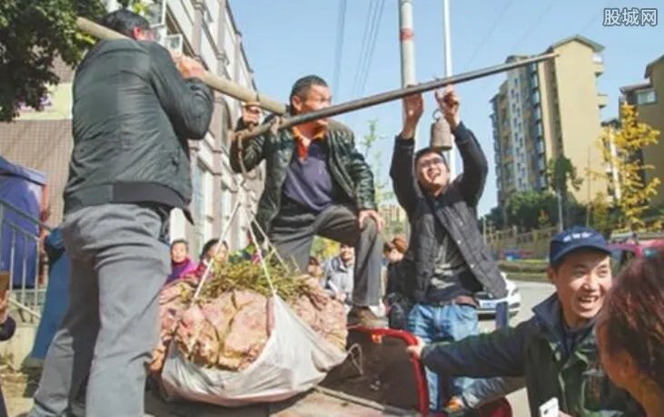 农民种出238斤红薯王 2018什么养殖业最赚钱？