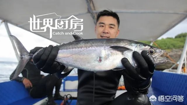 除了《游钓中国》，你还喜欢什么钓鱼类视频？