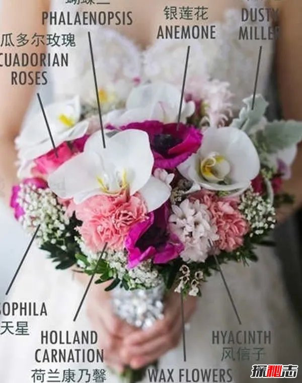 新娘为啥要拿捧花?真相让人崩溃(借花香遮掩身上难闻的臭味)