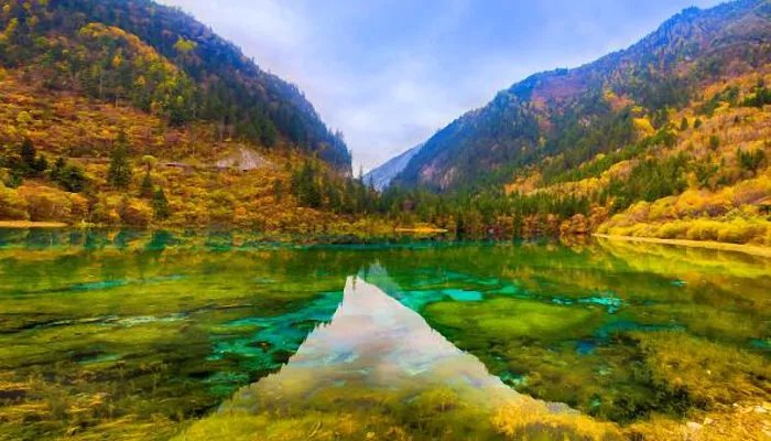 游客未购物被导游骂到发抖?系高反 信息内容不真实