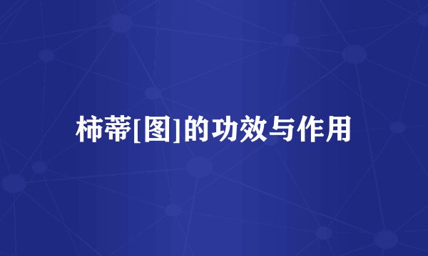 柿蒂[图]的功效与作用