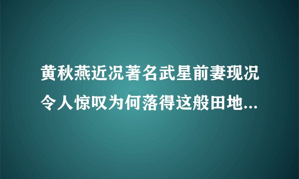 黄秋燕近况著名武星前妻现况令人惊叹为何落得这般田地-飞外网