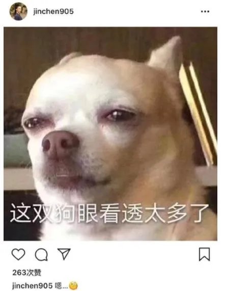 金晨疑回应分手 金晨董又霖分手原因曝光