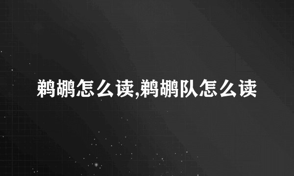 鹈鹕怎么读,鹈鹕队怎么读