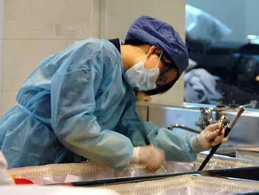 这工作月薪10万元:人们不敢干（图文）