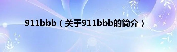 911bbb（关于911bbb的简介）