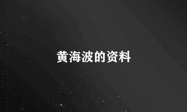 黄海波的资料