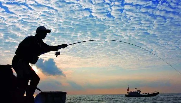 武汉一鱼场上百人清晨百米冲刺抢钓鱼位，这种场景像什么？