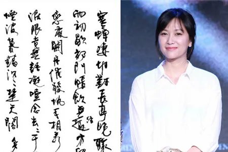 徐静蕾偶遇静蕾体 微博打假本人字画