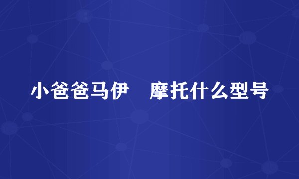 小爸爸马伊琍摩托什么型号