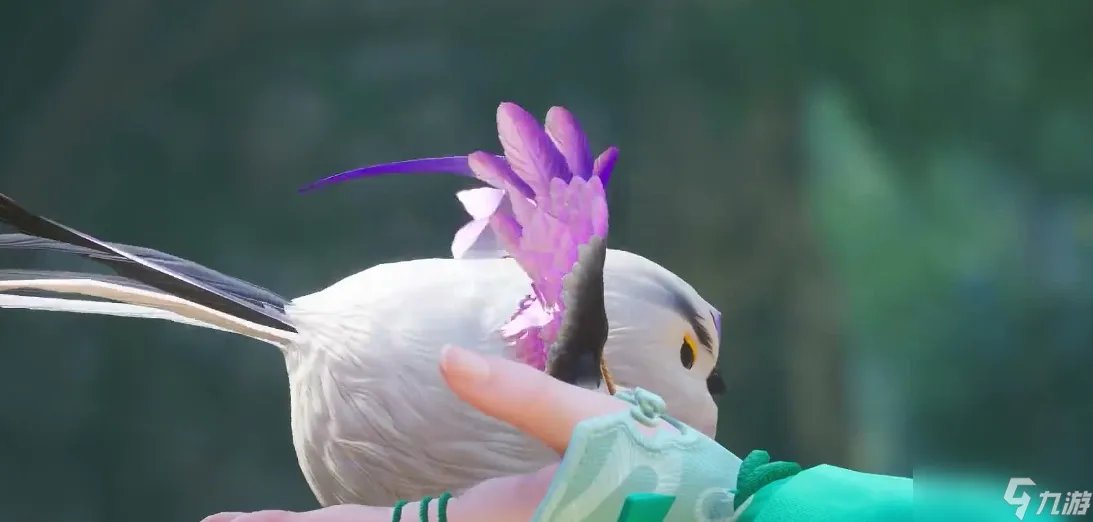 超全的仙五剧情攻略来啦  让你快速通关仙五全部剧情