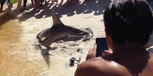 男子海边垂钓发现这物 罕见一幕让人惊呆(图)