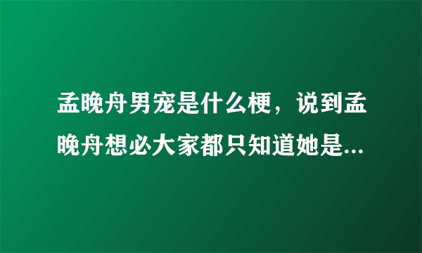 孟晚舟男宠是什么梗，说到孟晚舟想必大家都只知道她是一名奇女子-飞外网