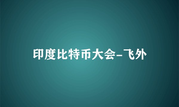 印度比特币大会-飞外