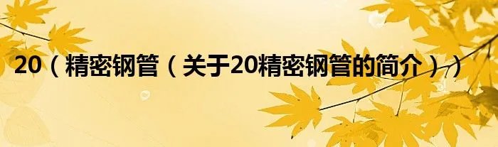 20（精密钢管（关于20精密钢管的简介））