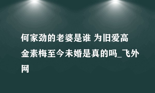 何家劲的老婆是谁 为旧爱高金素梅至今未婚是真的吗_飞外网
