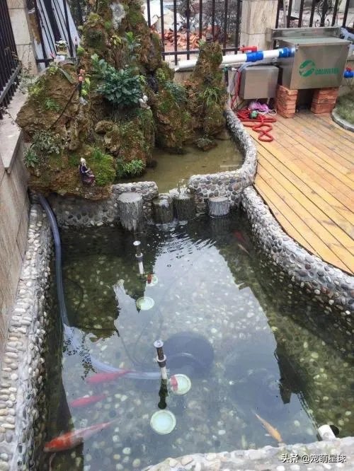 摸鱼池水深多少合适？