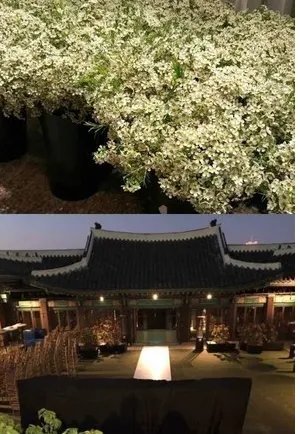 章子怡将出席双宋婚礼吗？